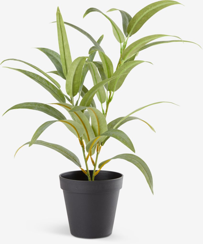 Artificial plant LARSSON D11xH43cm green - JYSK