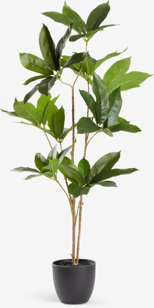 Artificial plant TRISTAN H90cm - JYSK