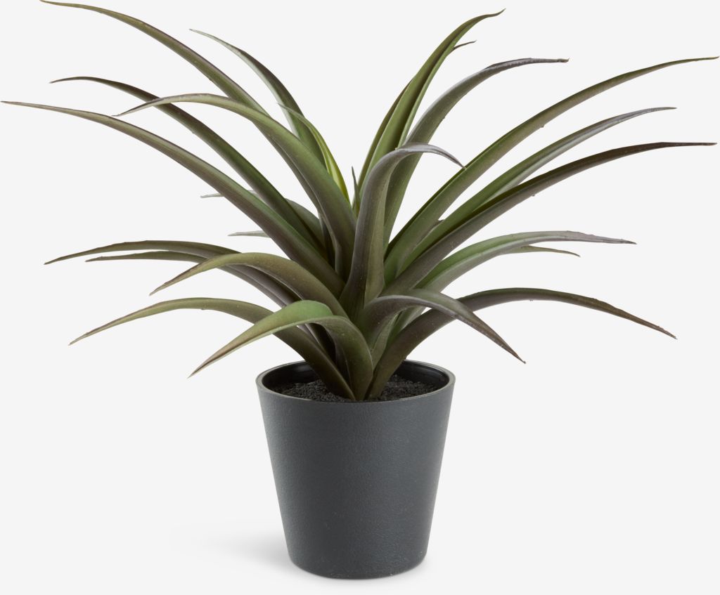 Artificial plant FREIDIG D36xH32cm with pot - JYSK
