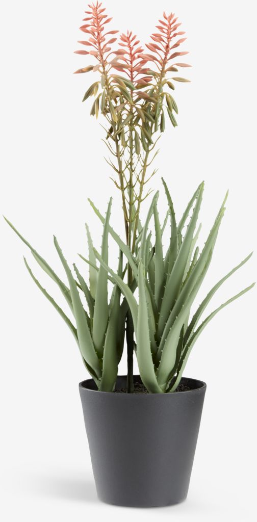 Artificial plant RASMUS H45cm w/flowers - JYSK